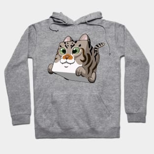 Cube Cat Hoodie